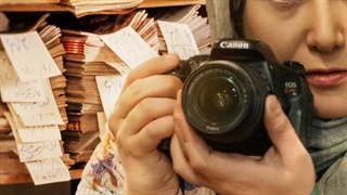 دانلود سریال «آفتاب پرست» قسمت سوم