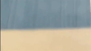 شب زیستا چطورین