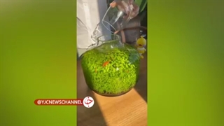 ساخت تراریوم آکواریومی جذاب