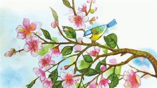 معرفت آفریدگار