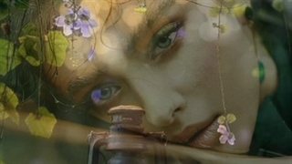 نماهنگ...مهربونم رفت