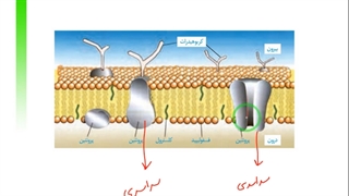 فیلم تدریس غشای سلول و اجزای آن-زیست دهم-مهدی محمد حسین زاده