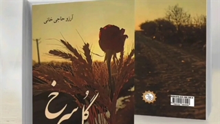 کتاب رویای گل سرخ، آرزو حاجی خانی