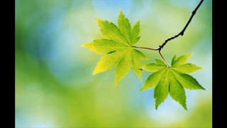 معرفی خودم و شروع پر قدرت