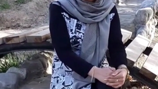 شما هم هرچی پست و استوری میزاری پیجتون رشد نمیکنه؟