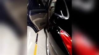 تودوزی IX55 (وراکوروز) با چرم کره‌ای