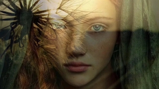 نماهنگ...نفرین...