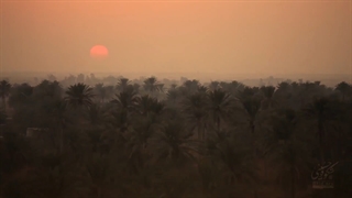 نماهنگ به تو دل ندهم به که دل بدهم؟!