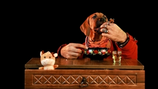 ارائه انواع خدمات پرسنل برندینگ -دیجیتال برندینگ تابلوماتیک