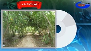 موسیقی و طبیعت