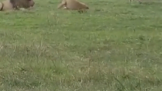 وقتی به خودت ایمان داشته باشی...