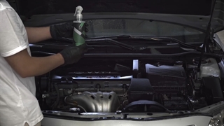 موتور شوی بوگامولت