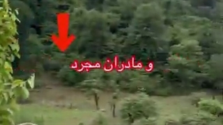 تاب آوری زنان سرپرست خانوار و مادران