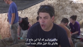 کشف عاج فیل ما قبل تاریخ در اسراییل