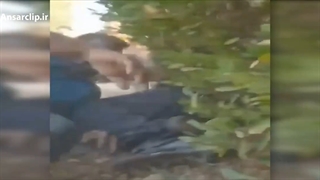 تکذیب تیراندازی عراقی ها به زائران ایرانی اربعین