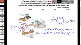 تحلیل سوالات زیست شناسی کنکور 1401 خارج-تست 170 تا 174-مهدی محمد حسین زاده