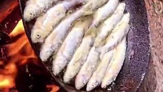 سرخ کردن ماهی کولی در طبیعت گیلان