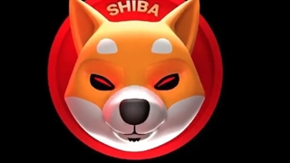 قیمت لحظه ای شیبا اینو