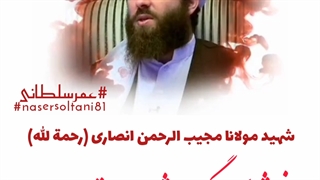 ‏و به کسانی که در راه خدا کشته می‌شوند مرده مگوئید ، بلکه آنان زنده‌اند