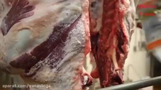 راه اندازی کشتارگاه و تولید فراورده گوشتی