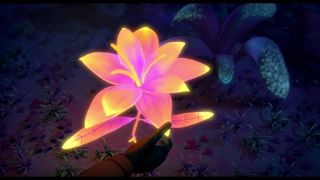 انیمیشن کوتاه شکوفه