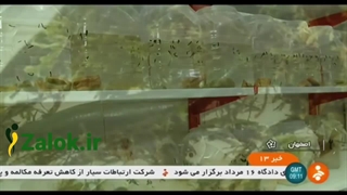 پرورش زالو در ایران | صنعت زالوی ایران