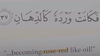 یکی از عجایب ومعجزات تازه کشف شده از قران!