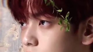 ویژوال اعضای تی اکس تی /کپشن