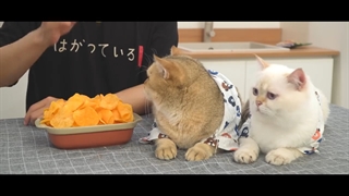 چپیس خانگی - موج کره ای