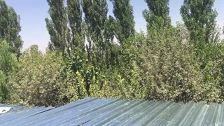 سقف عرشه فولادی ایلام۹۱۹۸۹۷۸۶۰۳