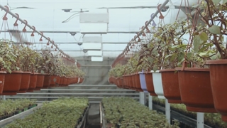 آشنایی با فعالیت های گروه صنعتی تیداپارس