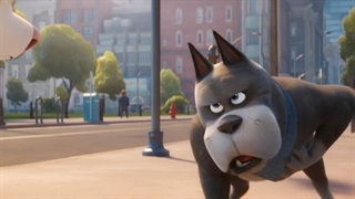 دانلود انیمیشن ابر حیوانات لیگ دی‌ سی DC League of Super-Pets 2022