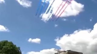 عنکبوت مقدس