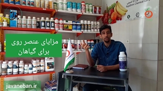 ترکیب جالب کود pk-nz (روی-فسفر-پتاسیم)