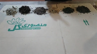 آموزش درست کردن خاک گلهای آپارتمانی / چه خاکی برای گلها مناسب است