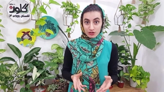 چه زمانی و چطور گلدان گل و گیاهم رو عوض کنم
