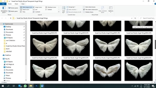 خرید باله های عکاسی / بال لایه باز / بال فرشته