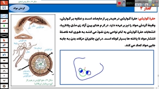 فیلم آموزش گردش مواد در جانداران-گفتار 4 فصل 4 زیست دهم-مهدی محمد حسین زاده