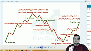 چرخه روند احساسات که در بین تمامی افراد یکسان هست و همیشه هم در حال تکرار شدن هست؟