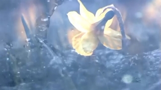 کجا یوسف چنین زندان کشیده؟ کجا یعقوب این هجران کشیده؟! :")