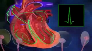 انیمیشن الکتروکاردیوگرام+ 09044686613 تدریس خصوصی زیست