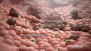 واکسن چیست؟