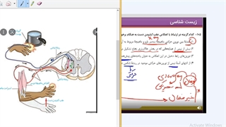 موسسه مشاوره آرت اراک- تست2- انعکاس نخاعی-ویدیو حل تستهای مهم زیست