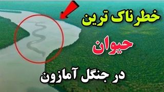 موجودات خطرناکی که در آمازون زندگی می کنند!
