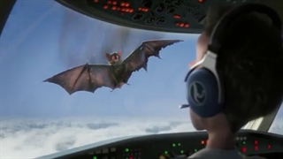 انیمیشن هتل ترانسیلوانیا 1  ،2012 دوبله فارسی