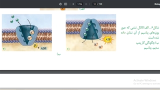 مشاوره کنکور آرت اراک -تدریس زیست یازدهم - جلسه 3 -امین فراهانی