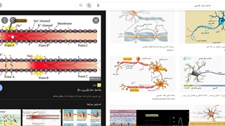 موسسه کنکوری آرت اراک- جلسه  5 -تدریس زیست یازدهم -گفتار1- امین فراهانی