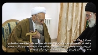 نماهنگ علامه ذو فنون