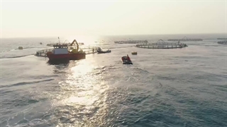 وقتی جنوبی ها میگن دریا روغنیه!