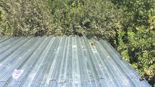 سقف عرشه فولادی ایلام ۹۱۹۸۹۷۸۶۰۳